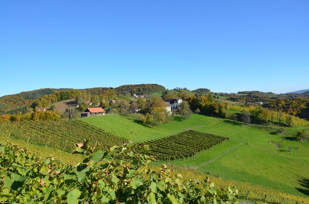 Villa Kroell-Hube à Sankt Johann im Saggautal Extérieur photo